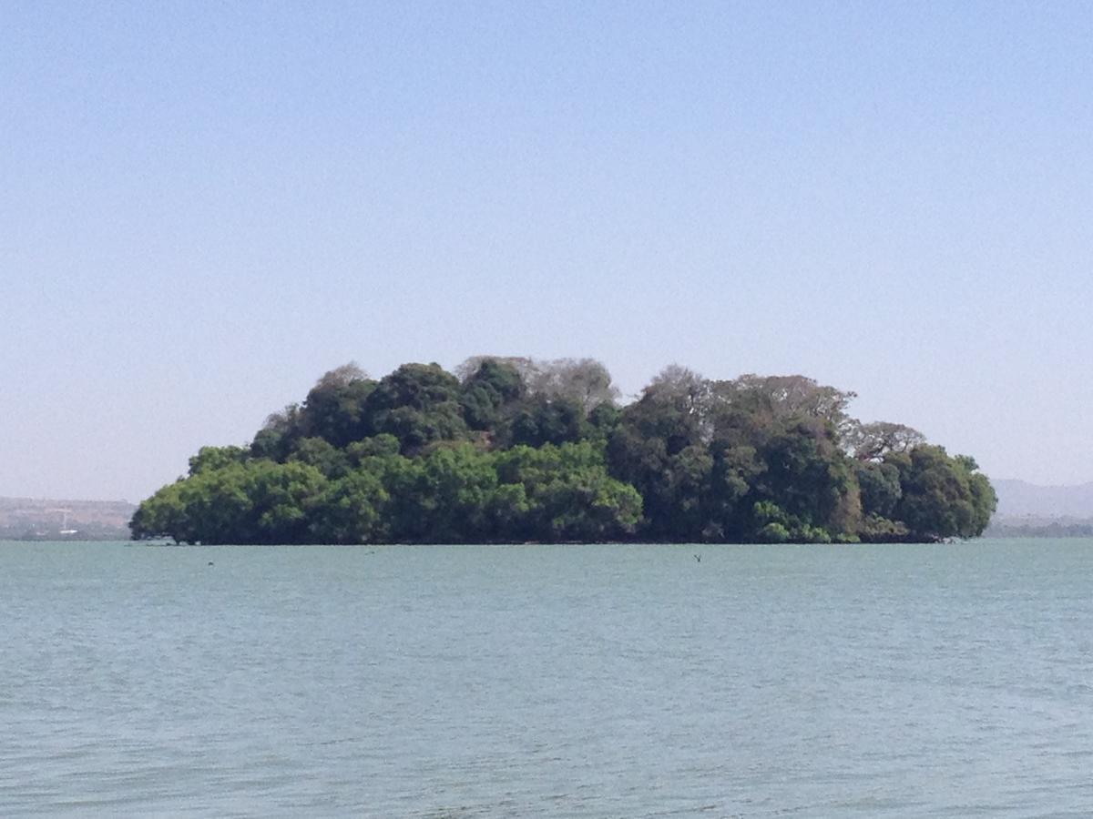 Lakemark Hotel And Tour Service Bahir Dar Dış mekan fotoğraf