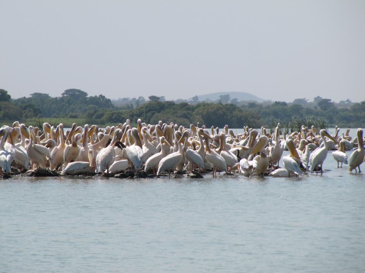 Lakemark Hotel And Tour Service Bahir Dar Dış mekan fotoğraf