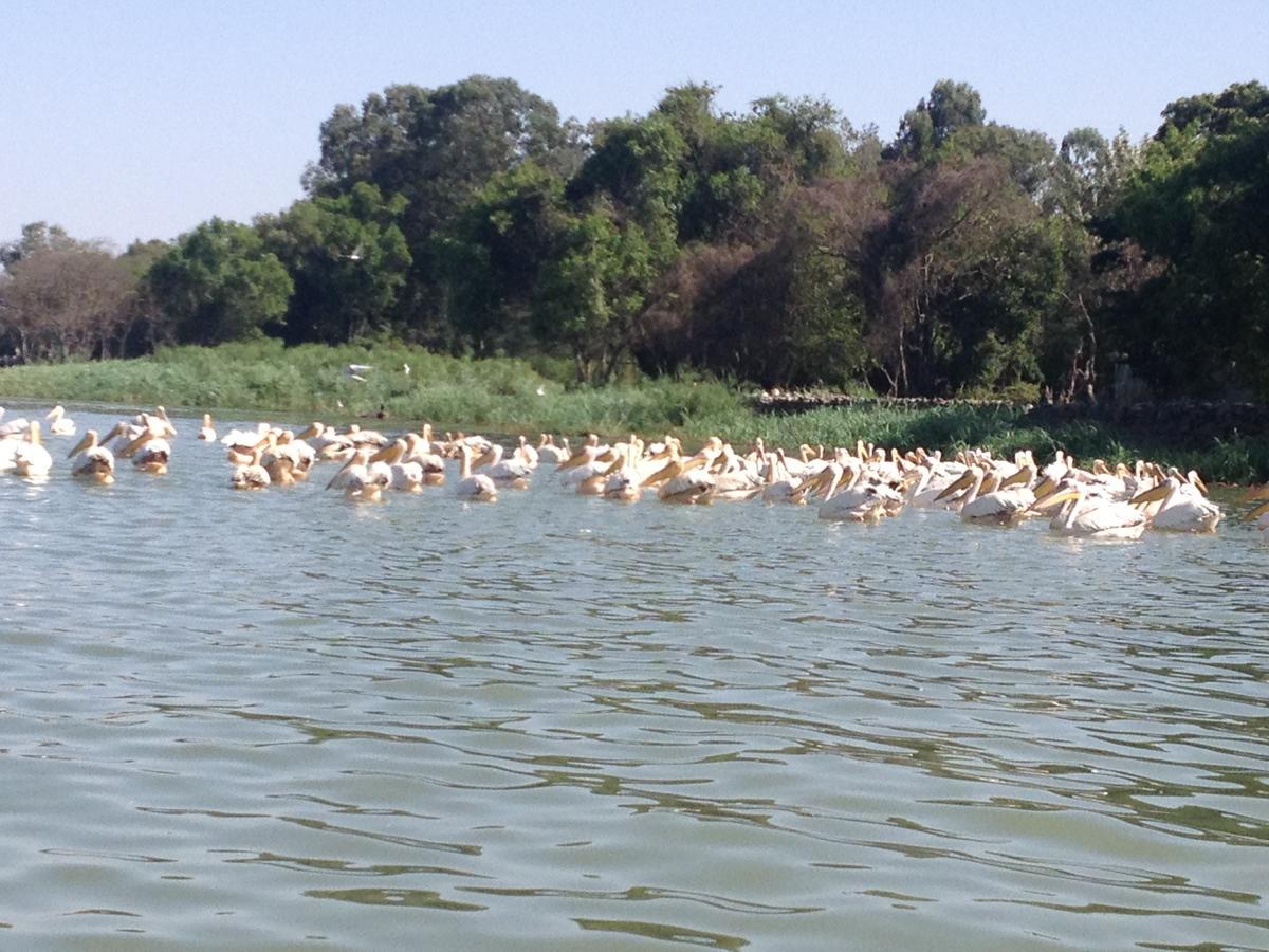 Lakemark Hotel And Tour Service Bahir Dar Dış mekan fotoğraf